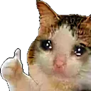 sadok