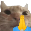 Catpray CatPRAY Discord Emoji
