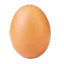 egg1