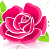 rose2