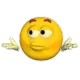 shrug