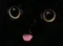 blep