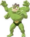 machamp