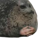 sealIndeed