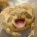 frogscream frogscream