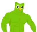 Buffduolingo Buffduolingo