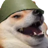 sshhdoge sshhdoge