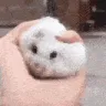 squishyfluff
