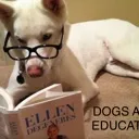 education Discord Emoji