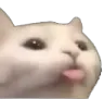 catbleh