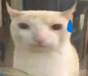 chututxamlolquakobitnoij