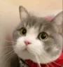 pls