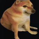 Doge Discord emoji