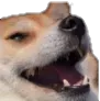 Dogesmile dogesmile Discord Emoji
