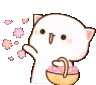 kittyflowers