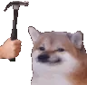 dogeBonk