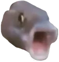 2557pogfishremastered