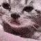 cryingcat