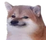 halp