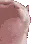 CE_CatVibe2