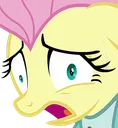 PanicFlutter PanicFlutter