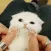 CE_ToeBeans CE_ToeBeans