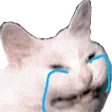catcry