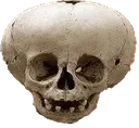 skull3