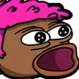 tonydpog