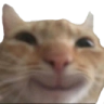 cathihi