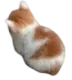 angy