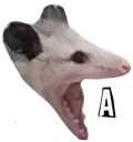a_ a_