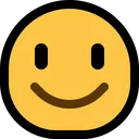 ms_slight_smile