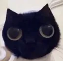 skrunkly