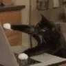 icatgaming