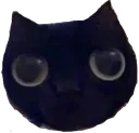 boop