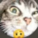 raisedeyebrow