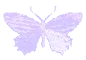 XX_Tenderly_26
