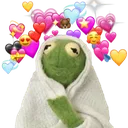 kermitAsik Discord emoji