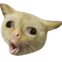 catcough custom emote - Adultcord 🧿