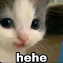 hehe