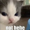 nothehe nothehe