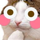 kittyflushed Discord emoji