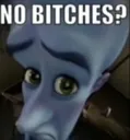 No_bitches No_bitches