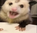 shock Discord emoji