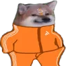 BhagwaSweg