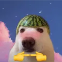 perritouwu