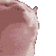 Terrorcat Discord Emoji