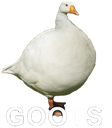 goots Discord emoji