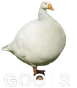 goots3